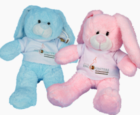 Blue Pink Bunny