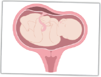 PresentationGrowth&WellbeingTM