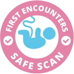 Safe Scan