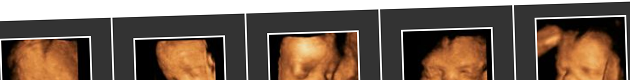 Photocloud Images