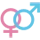 Gender Evaluation